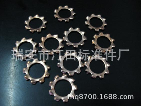 供应磷青铜外齿锁紧垫圈 GB862.1外齿锁紧垫圈【厂家直供】