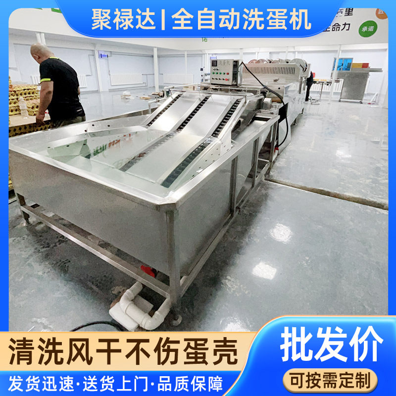 咸鸭蛋保洁蛋清洗流水线 养殖场鸡鸭蛋粪便污泥清洗机 三排洗蛋机