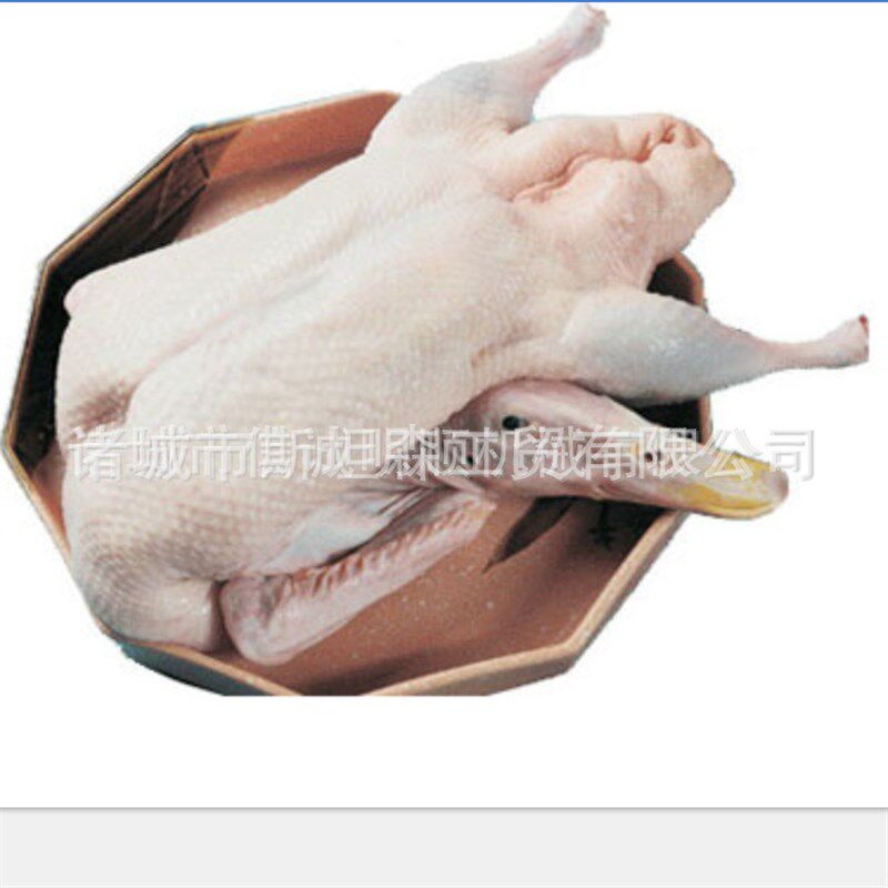 N家禽脱毛机 鸡鸭鹅脱毛机 F家禽拔毛机 小型鸭脱毛机