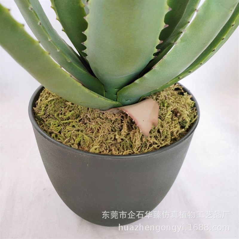 仿真多肉植物芦荟盆栽家居办公室室内装饰盆栽软装室内造景配件