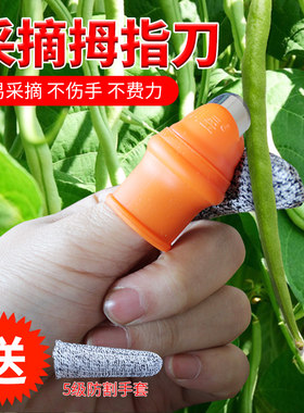 摘茶叶手套神器葡萄掐尖专用铁指甲农用采摘豆角剪辣椒摘菜拇指刀