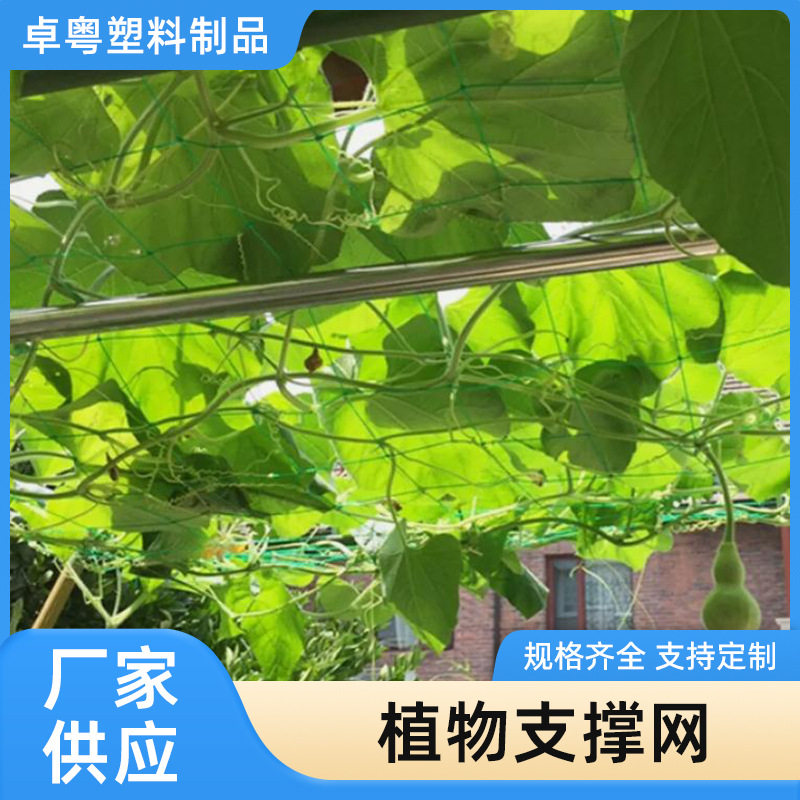 植物支撑网园艺蔬果方格网豆角百香果丝瓜黄瓜月季攀爬网 搭架网