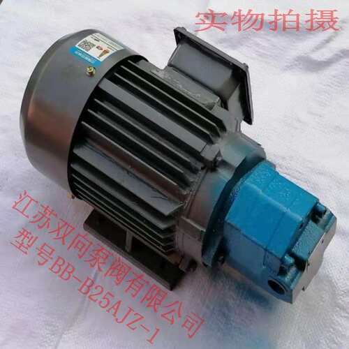 BB-B16AJZ-1 BB-B20A BB-B25 BB-B32AJZ摆线齿轮油泵插入式电机组