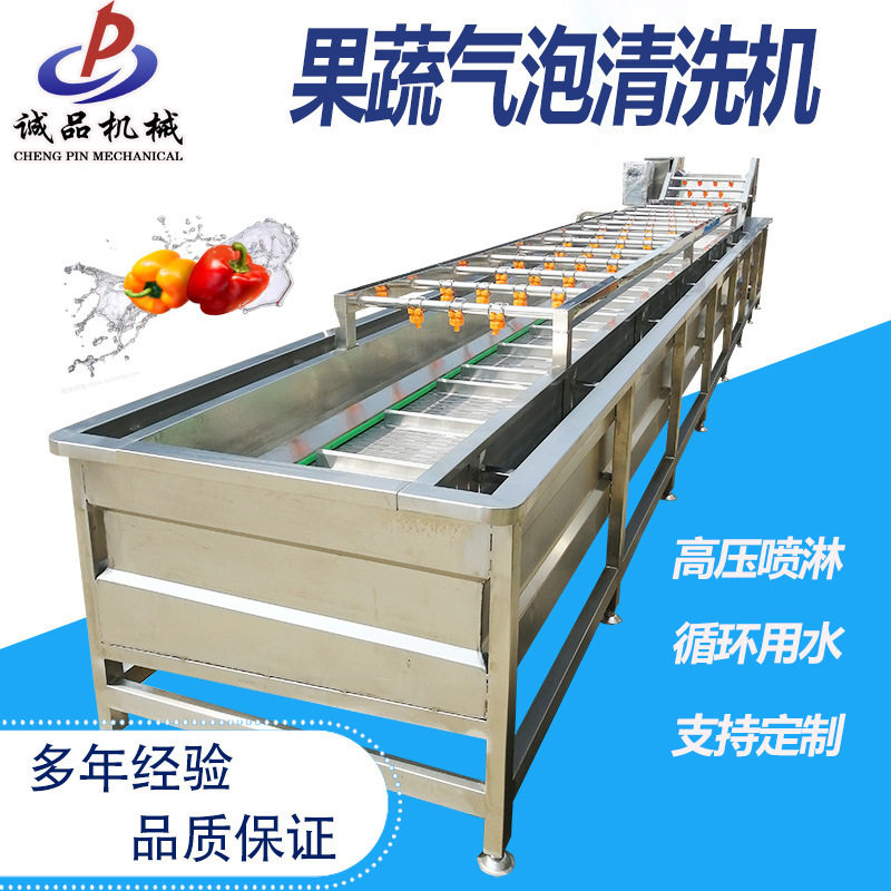 喷淋式果蔬气泡清洗机去农残