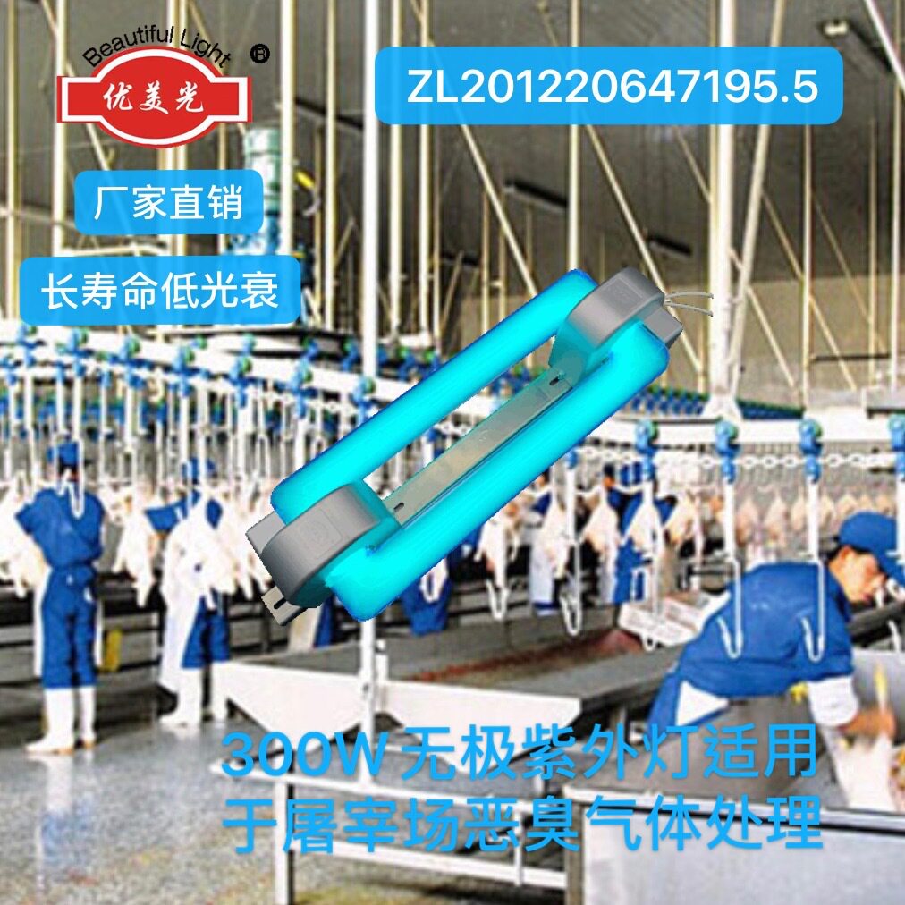 高和光电厂家供应300w无极紫外灭菌灯臭气处理紫外线光触媒杀菌灯