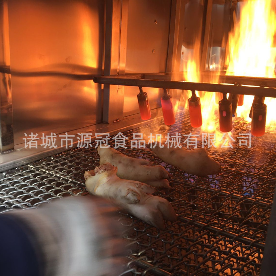 源冠牌网带通过式猪头猪蹄烧毛机