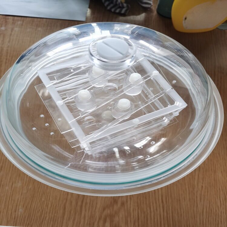 球型核磁共振水模体