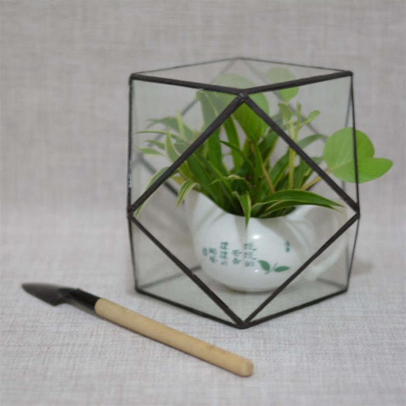 简约几何玻璃花房苔藓微景观植B物花瓶家居园艺装饰展示道具摆件