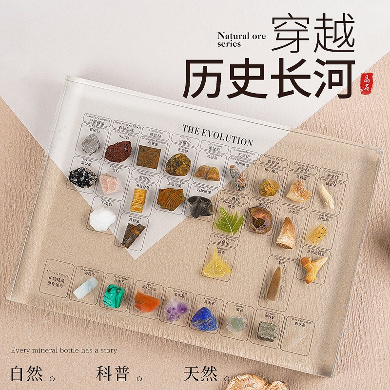31种天a然矿物化石植物手作包埋家居摆件树脂镶嵌摆台高端收藏送