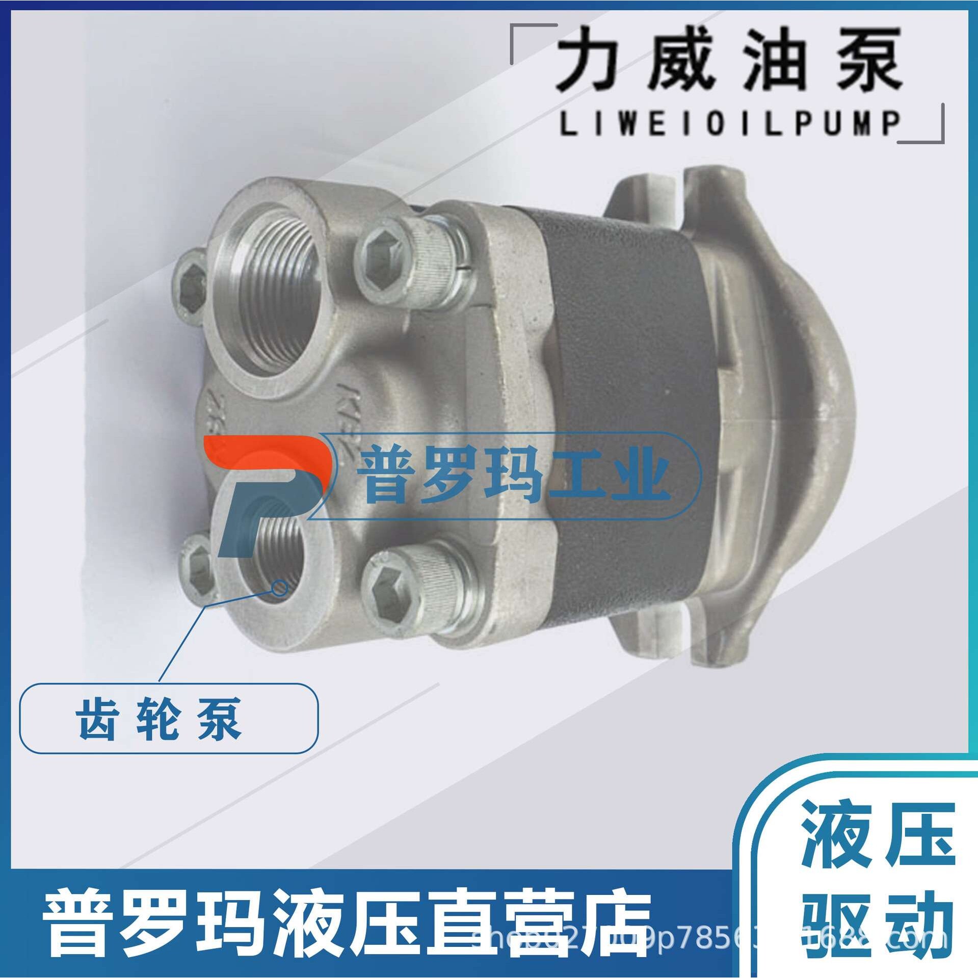 QC16/10-D10WX合肥力威3505010-541-ZC10客汽车动力泵液压转向泵