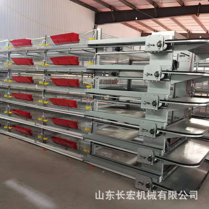四层清粪鸽子笼鹌鹑养殖笼层叠式养鸡设备立式H型全自动蛋鸡笼
