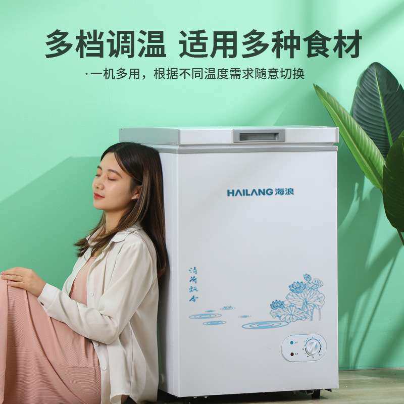 串串冷藏冷冻两用冷柜一级节能小冰柜家用全冷冻小型迷你省电保鲜