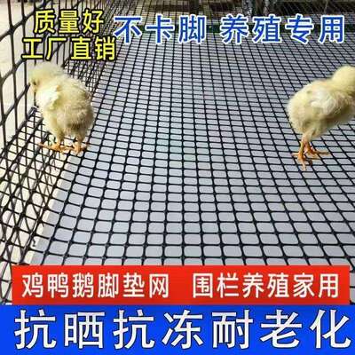 围栏农田防护网玉米养殖网养鸡圈格栅塑料家禽圈养