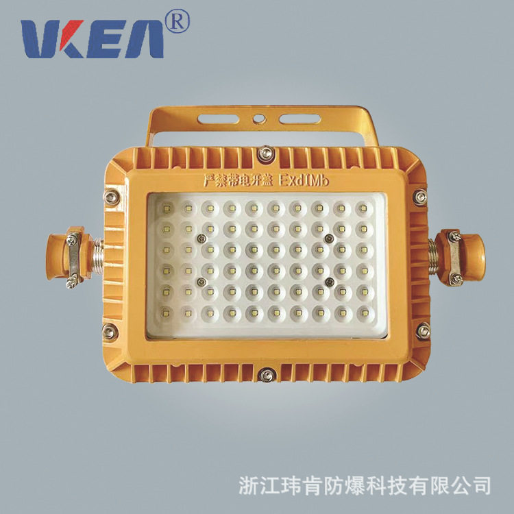 DGS70/127L(A) 系列矿用隔爆型LED巷道灯 煤矿用防爆灯具