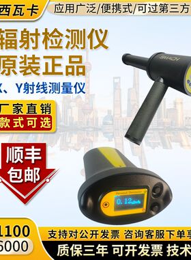 核辐射检测仪RG1100个人剂量报警仪放射性X 射线巡检仪RP6000