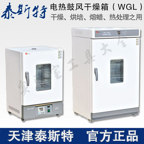 WHLL-30BE电热恒温干燥箱泰斯特电热烘箱WHL-30L烤箱泰斯特干燥箱