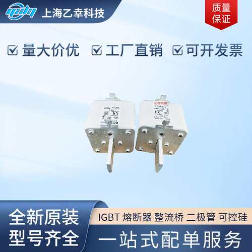 巴斯曼熔断器   170M6861 170M6862 170M6863 170M6864 170M6865