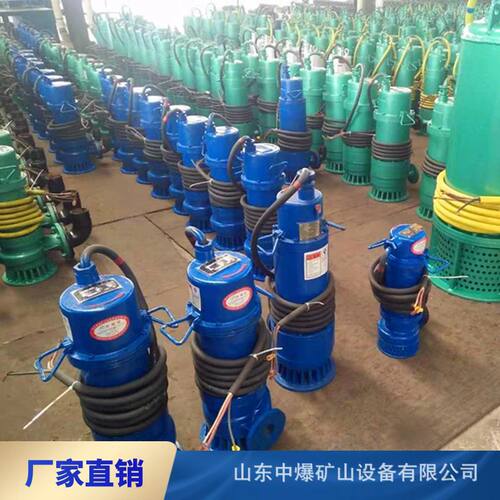 11KW厂用加油站隔爆潜水排污泵
