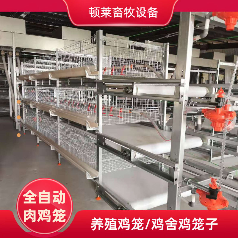 全自动肉鸡笼四层三层养殖场自动化肉鸡笼养殖设备清粪喂料养鸡笼
