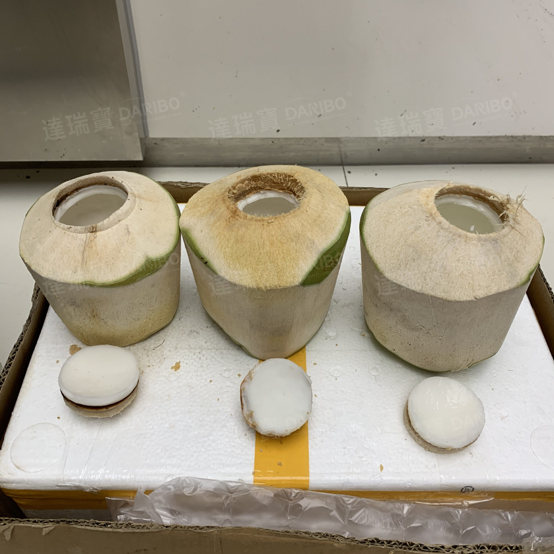W 青椰削皮开盖流水线广东厂家 开青椰盖机椰子开口设备厂家直销