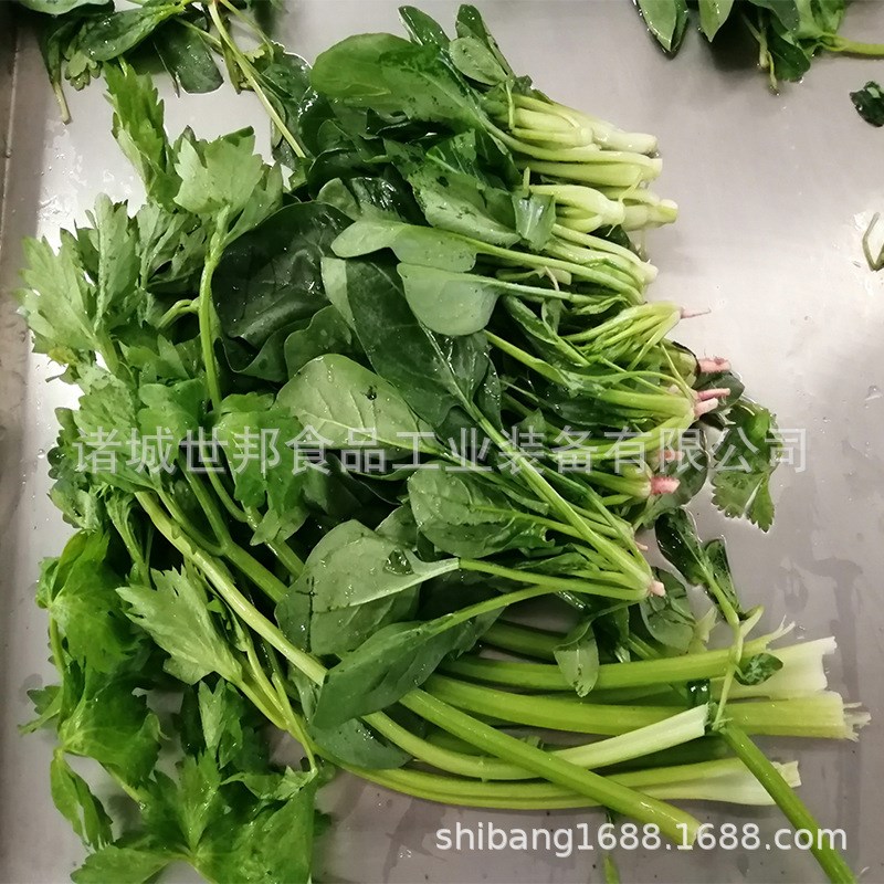 速冻蔬菜全自g动清洗机 多功能消毒去农残 中央厨房净菜加工流水