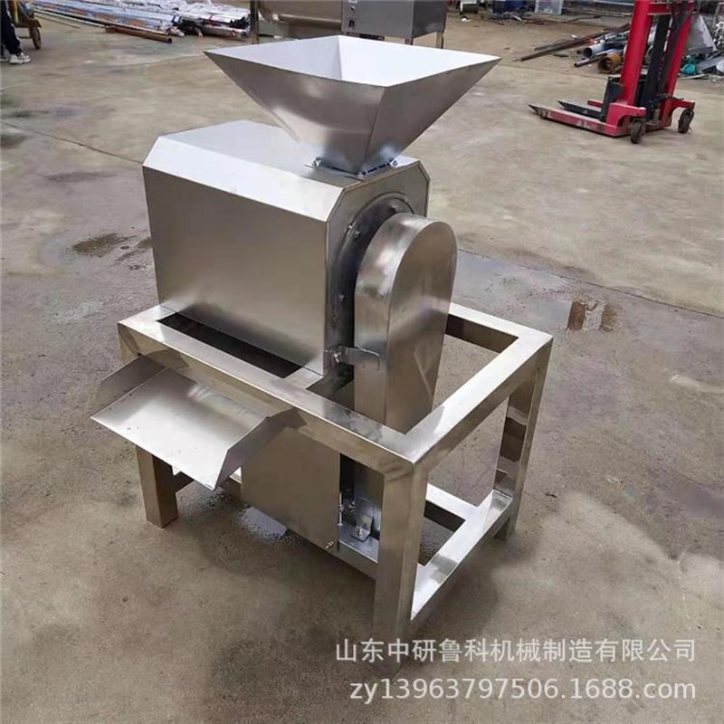 工业红枣b打泥机 芒果蓝莓去核打浆机 番茄沙棘果百香果大型打浆