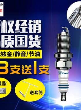 适用大众新宝来POLO帕萨特朗逸斯柯达明锐K5RTSIU火炬铱金火花塞