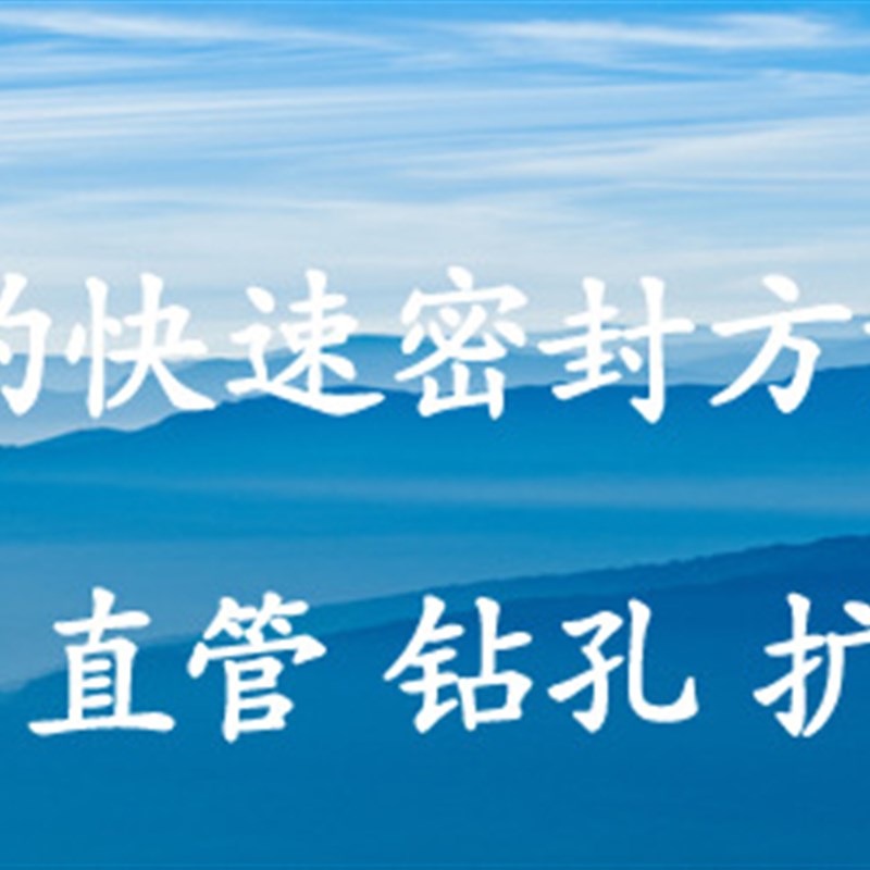 2019新品 内涨 外抱快速密封堵头 快速接头 N快速连接器 快速 稳