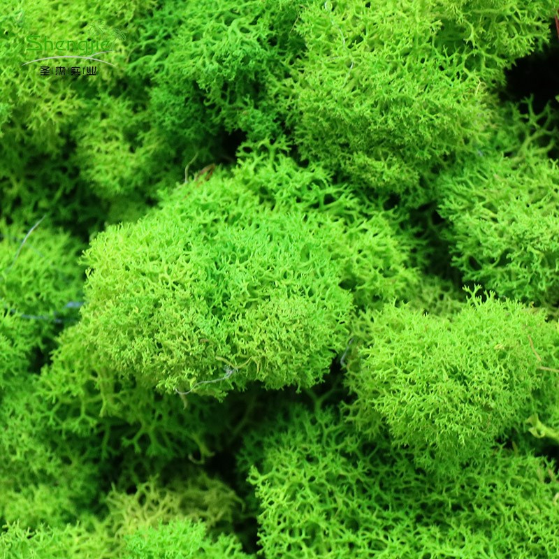 仿真苔藓植物墙商场餐厅特色青苔植物墙绿化装饰仿V真绿植墙假草