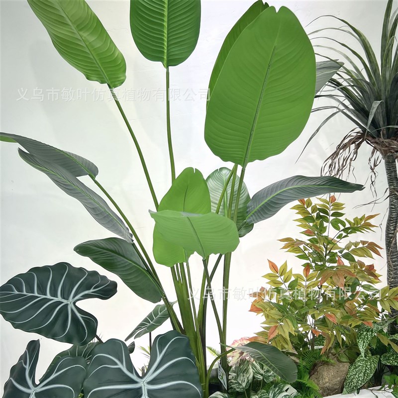 仿真植物造景设计 心叶r榕 龙舌兰仙人柱软装陈列商业美陈落地绿