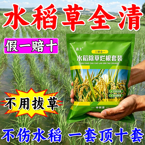 专除水田恶性杂草助力水稻高产