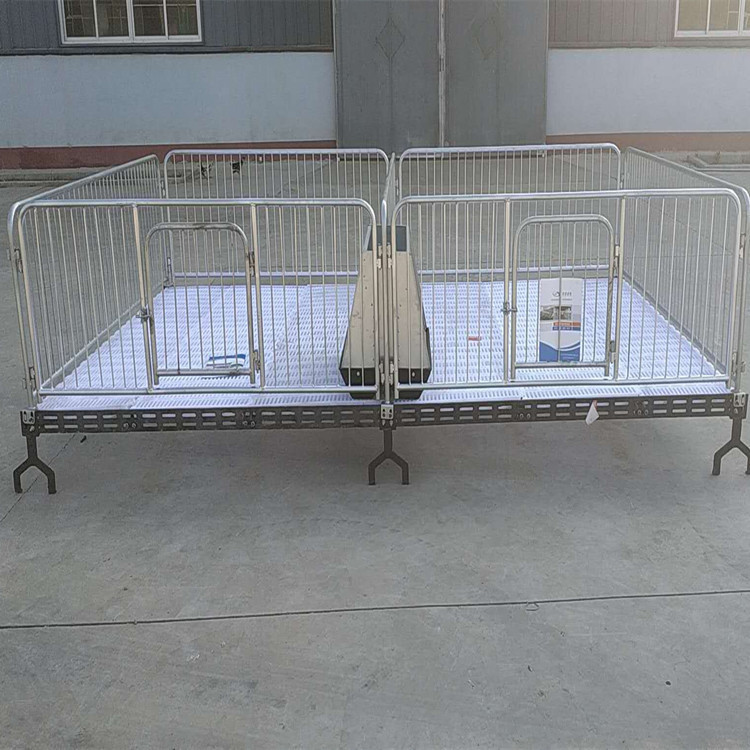 双体小猪喂猪供应猪床两圈保育床 复合保育 养猪设备