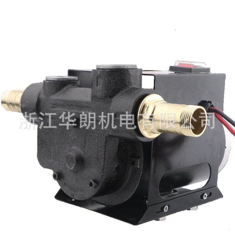 电动抽油泵1g2V24V柴油泵大流量高扬程自吸清水加油泵液压煤油泵