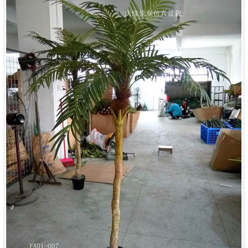 仿真美丽a针葵 仿真凤尾葵 假葵叶 美丽针葵 凤尾竹仿真草针葵盆