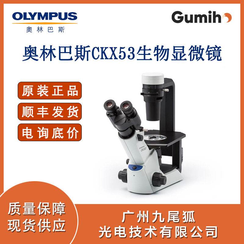 奥林巴斯CKX53荧光显微镜销售 高清