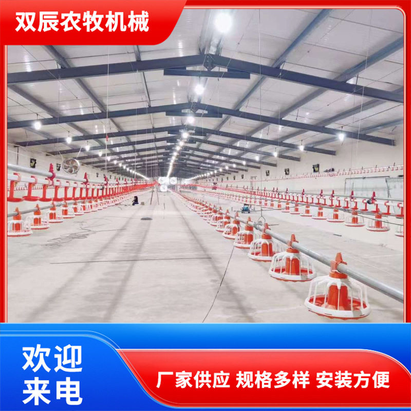 养鸡料线全自动操作简单规格多