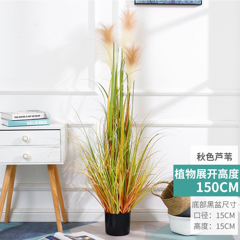 博林仿真芦苇草洋葱草狗尾巴草仿真植物团草露营风软装绿植造景