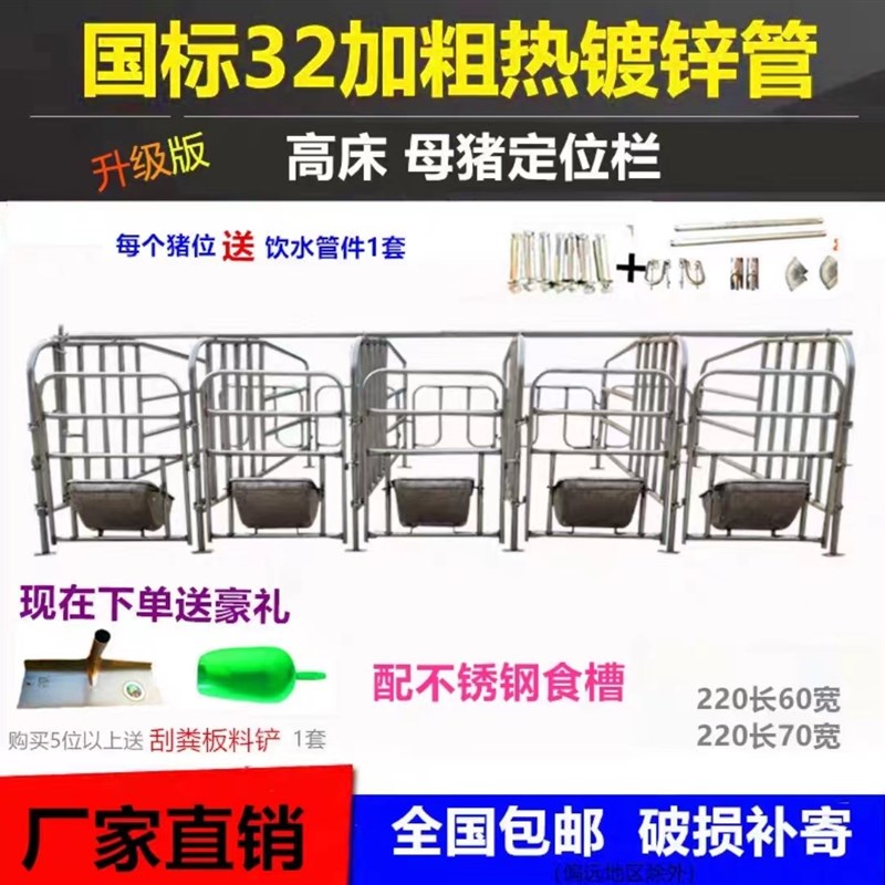 母猪定位栏十位五位限位s栏热镀锌高位母猪栏带漏粪板老母猪栏养