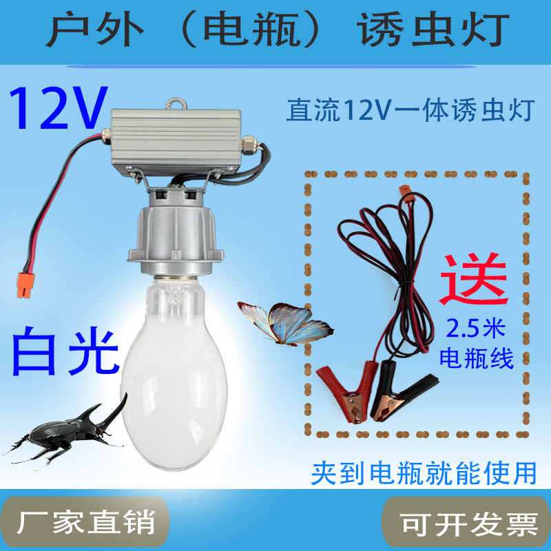 灯诱虫户外12V照明汞灯紫外线诱虫布白光大功率E40灯头24V48V电瓶