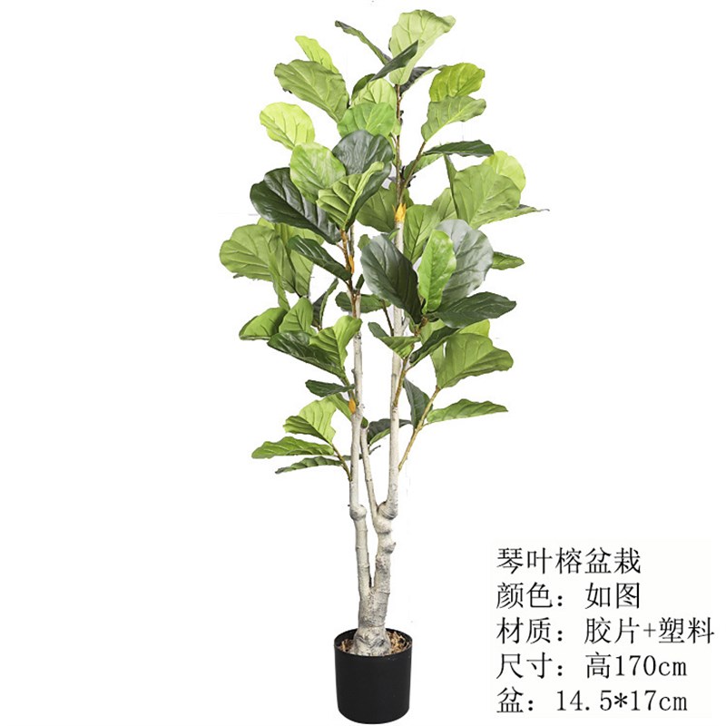 仿真琴叶榕树盆栽 庭院酒店大堂自然假树盆景装饰摆件观景树落地