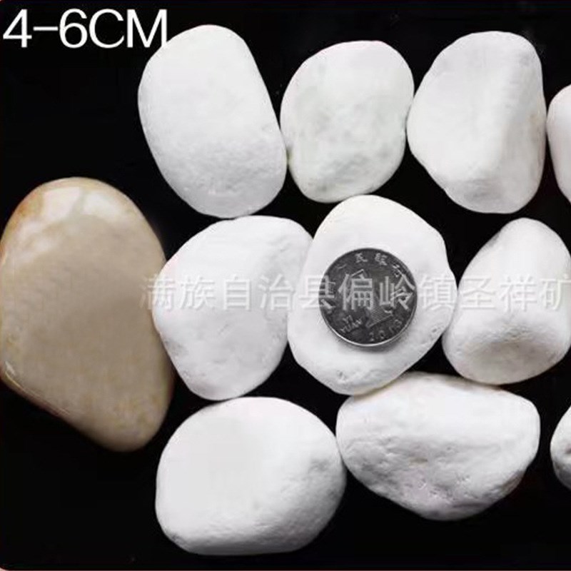 厂家绿化用鹅卵石 园林景观沙石 白色机制花盆容器鹅卵石