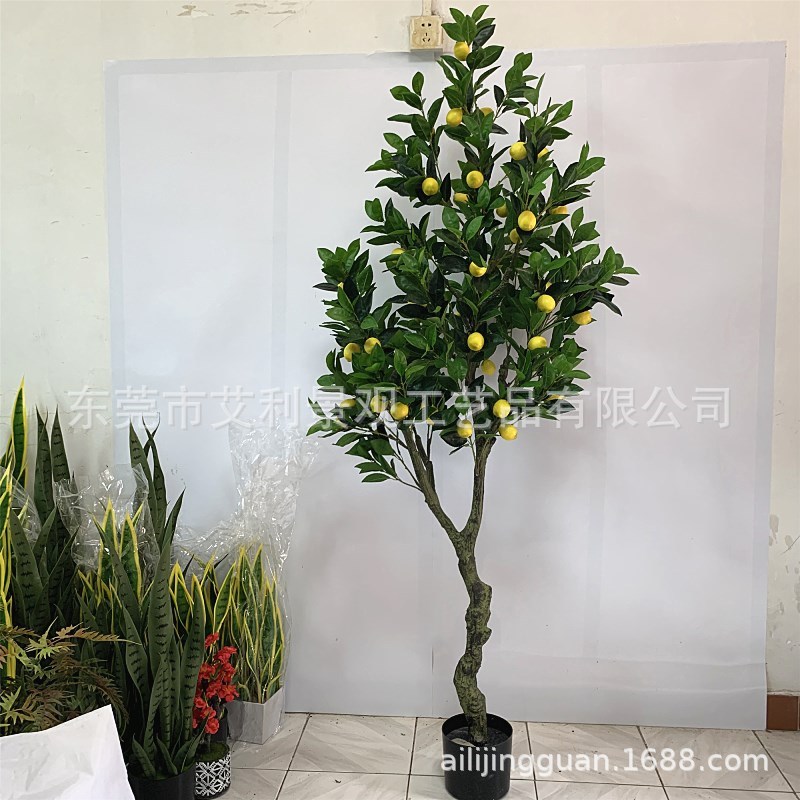 柠檬树枝盆栽 园林景观植物果树 室内庭院装饰假树绿植