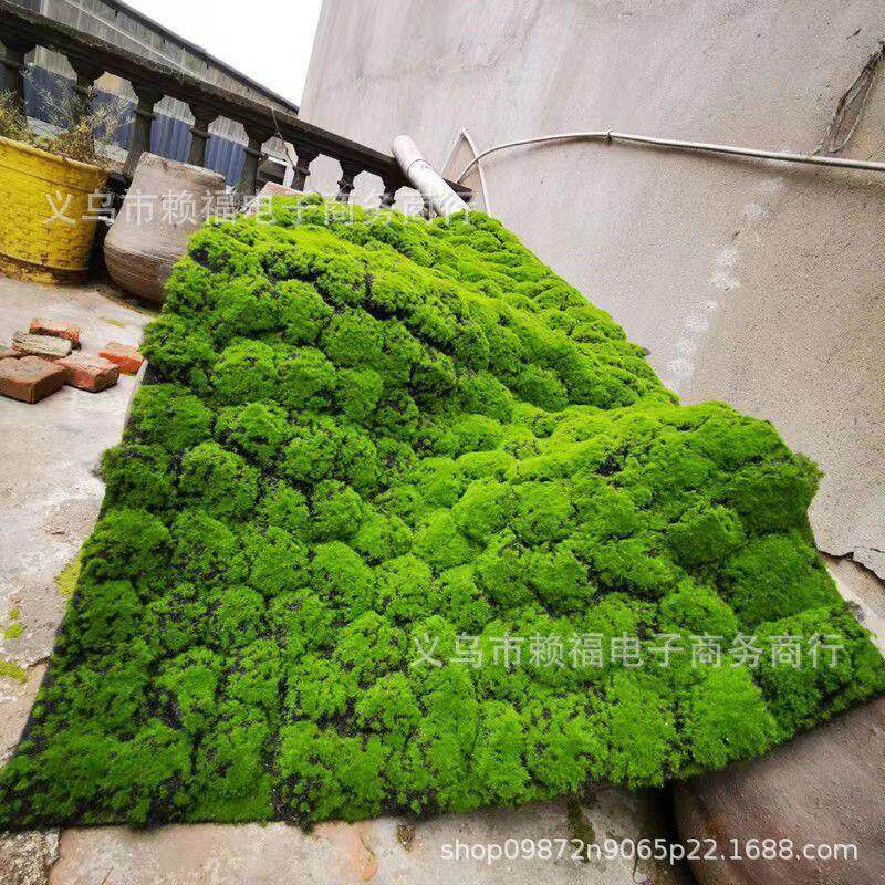 厂家直供仿真苔藓草坪植物墙背景橱窗婚庆盆景盆栽青苔一件代发
