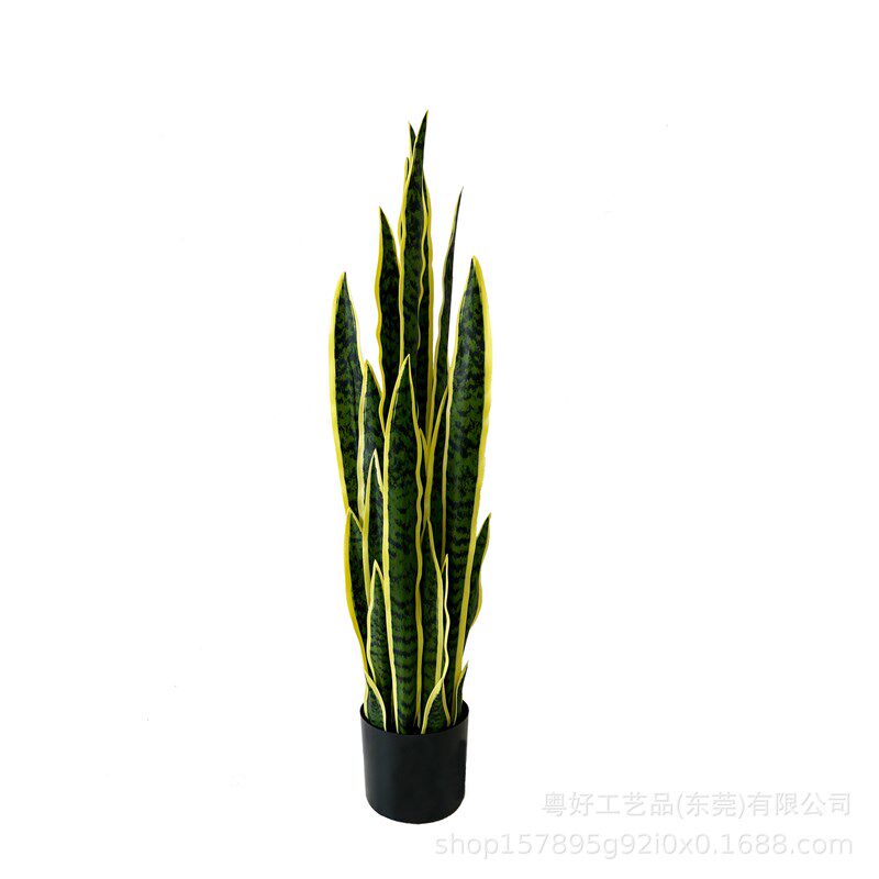 仿真金边虎皮兰蝴蝶兰盆栽假绿植装饰落地热带沙漠仿生植物摆件
