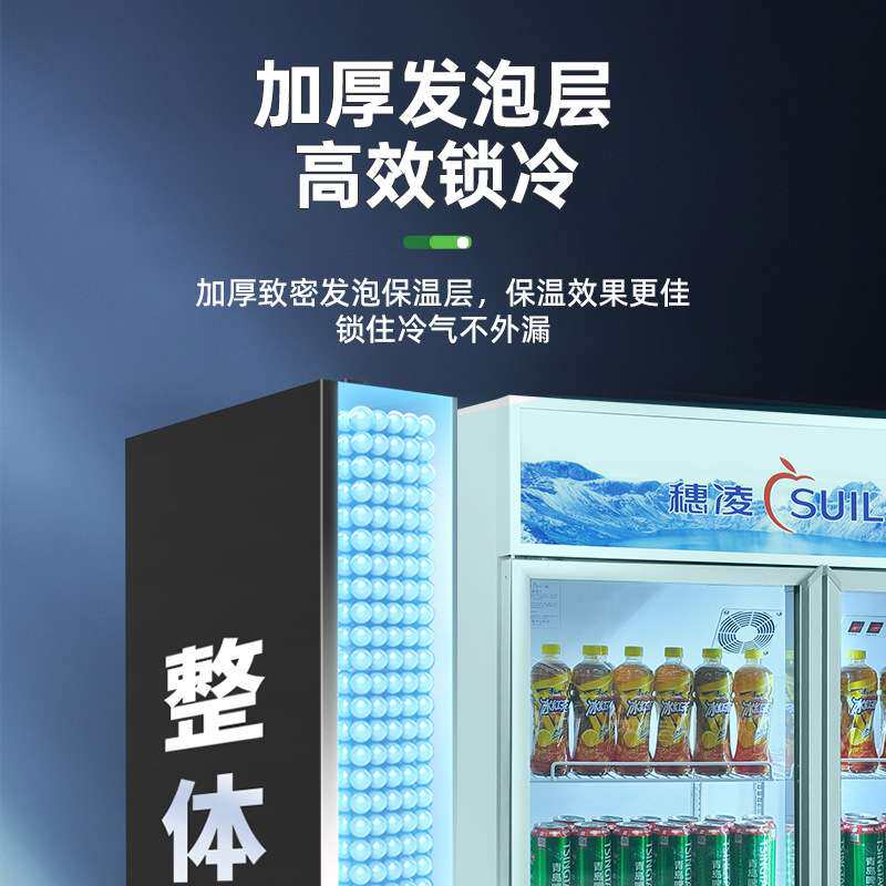 穗凌冰柜商用立式冷藏展示柜双门饮料柜水果保鲜冰箱三门啤酒冷柜