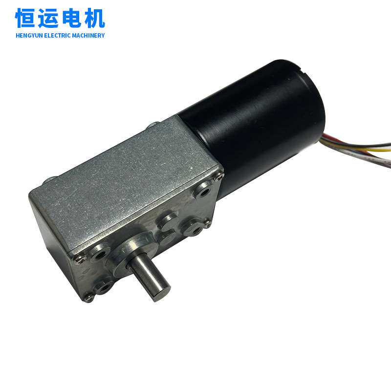 低噪音直流无刷5840涡轮蜗杆减速箱电机静音微型