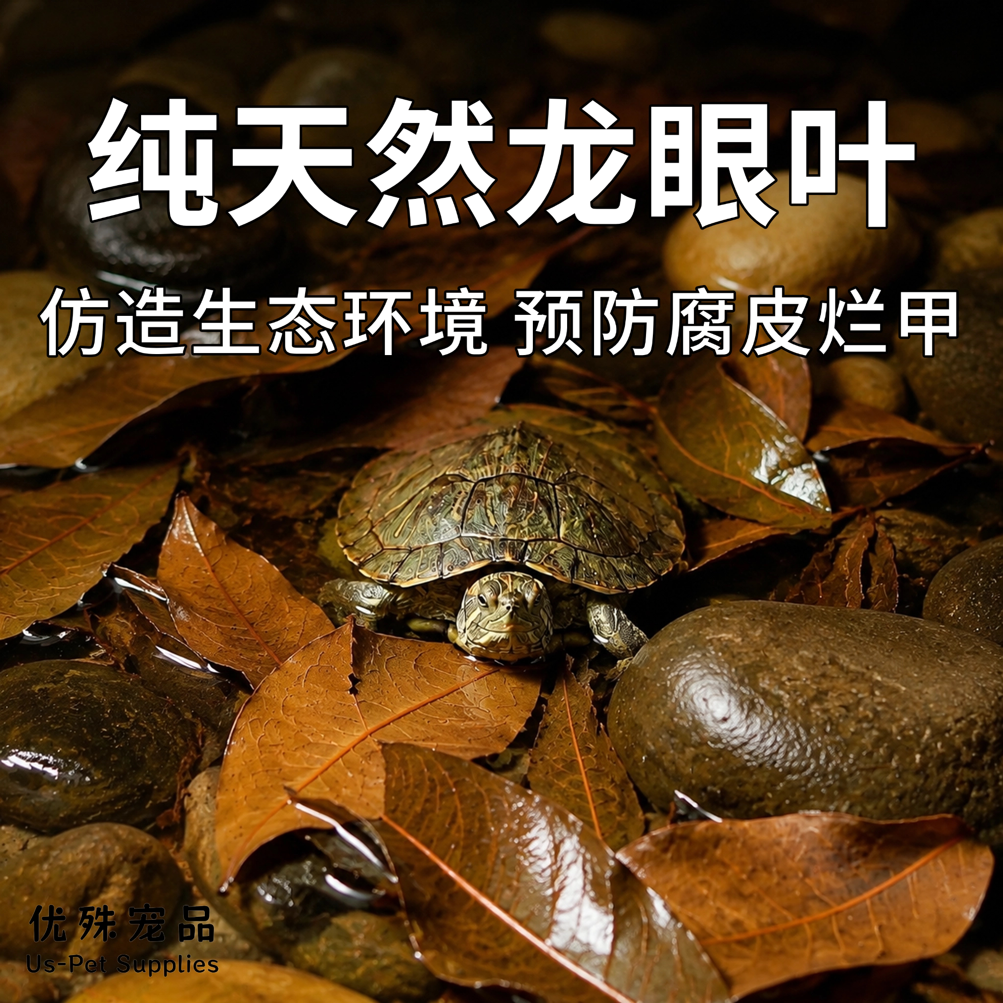 乌龟龙眼叶天然免煮养龟专用叶改善水质环境腐皮烂甲躲避生态舒适图片