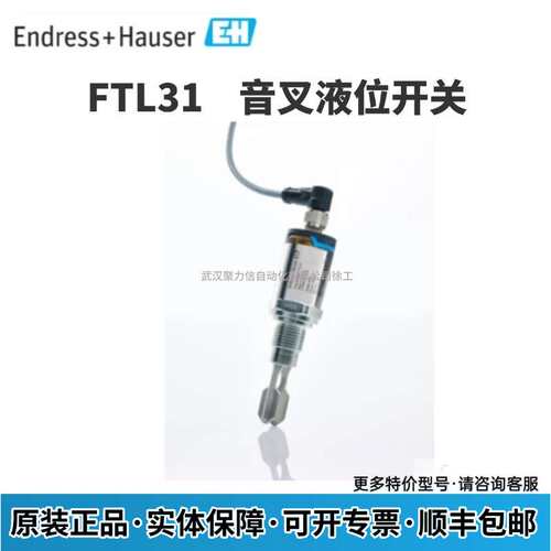 FTL31-14X8/0  FTL31-AA4U2AAW5J 德国E+H 音叉液位开关 现货