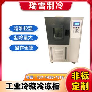 瑞雪 工业冰柜 超低温冷冻冰箱 零部件深冷处理箱厂家