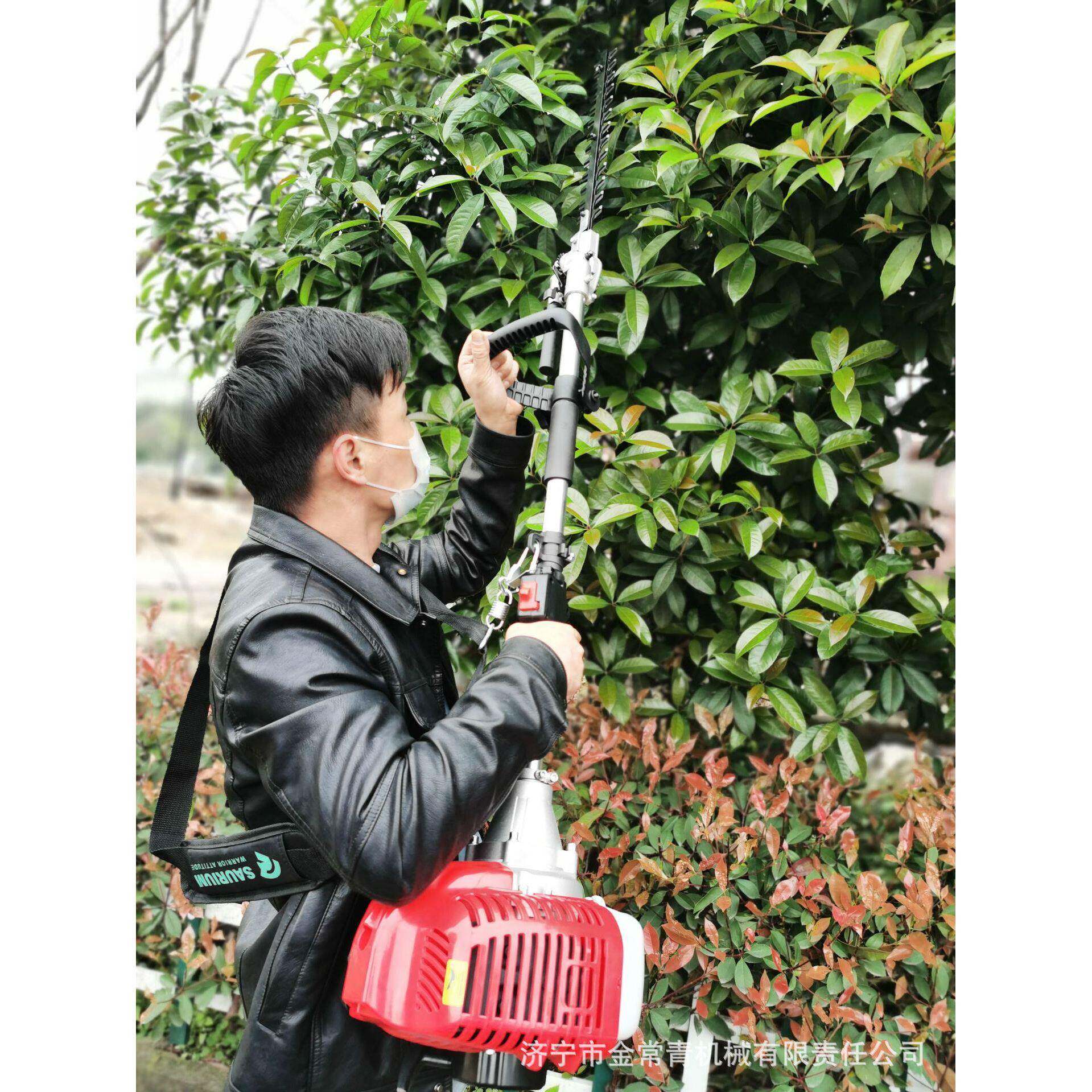 手持式绿篱机 四冲程汽油机带动绿化修剪用小型绿篱机现货